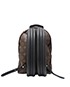 Palm Springs Backpack PM, back view